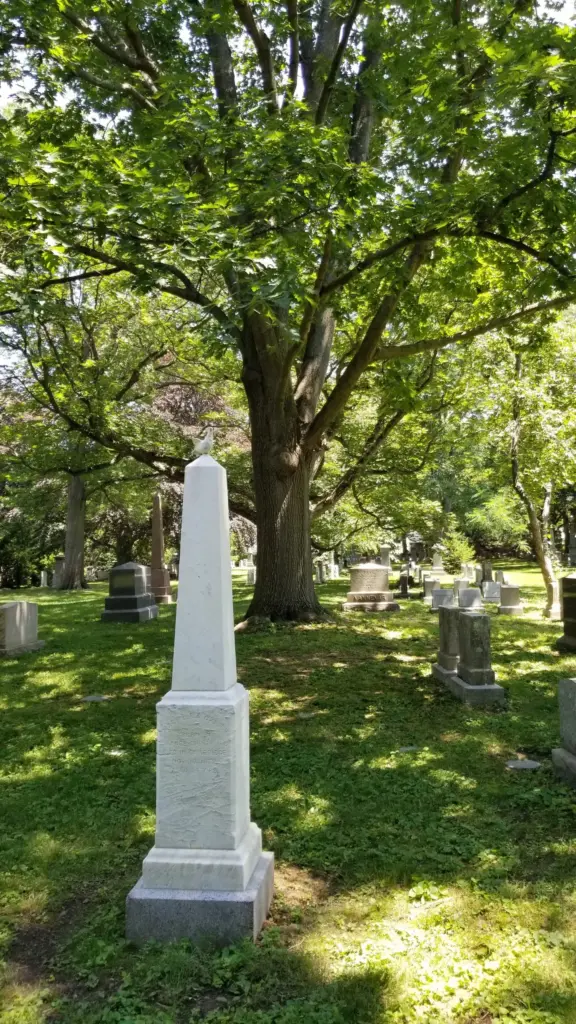 A white marble obelisk in a cemetery with a large tree in the background