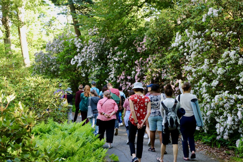 Light My Song: An Observational Poetry Tour at Mount Auburn – Mount ...