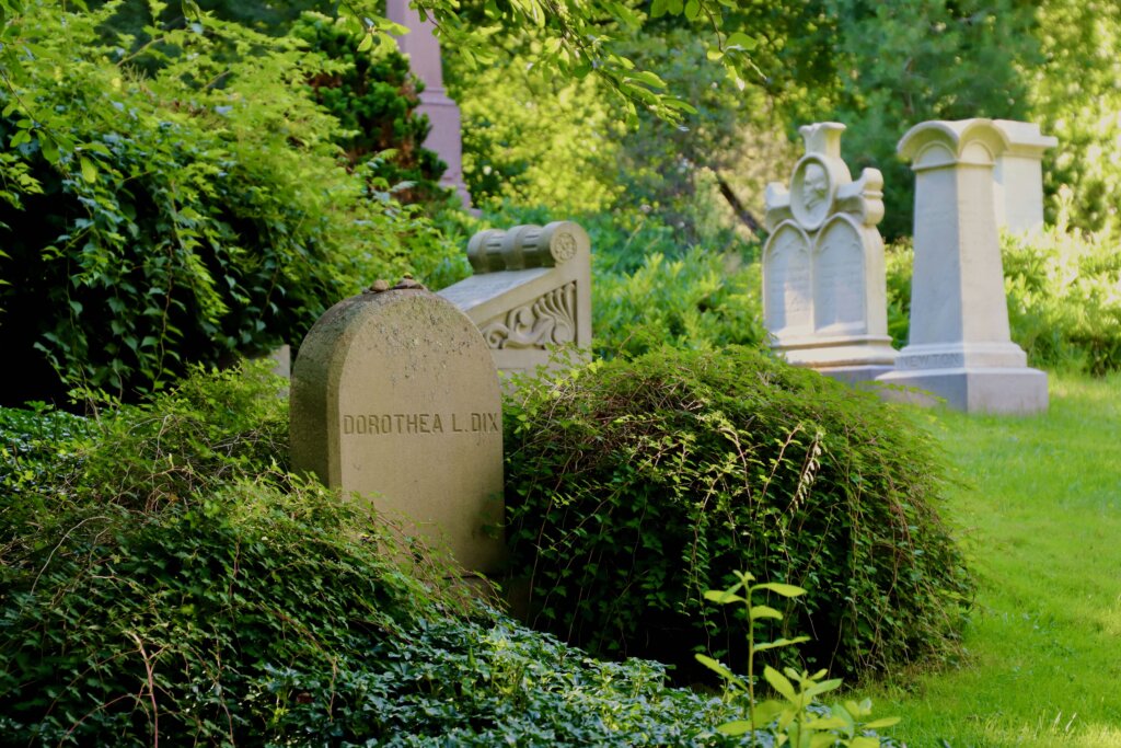 A gravestone in a cemetery surrounded by shrubs.