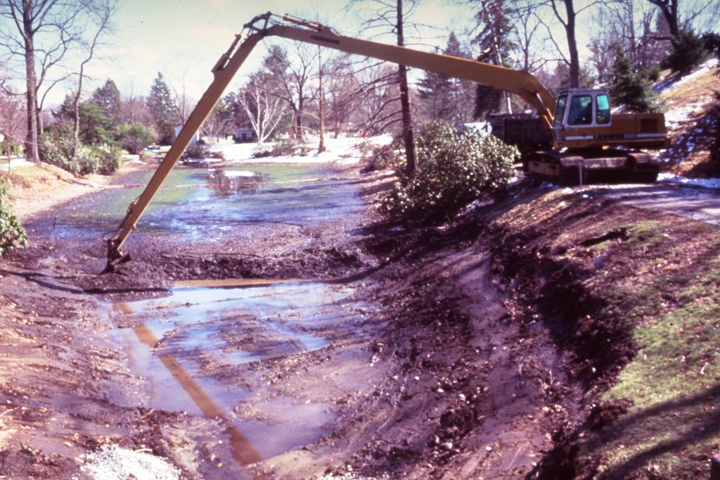 Image for Auburn Lake: Revitalizing a Historic Waterbody