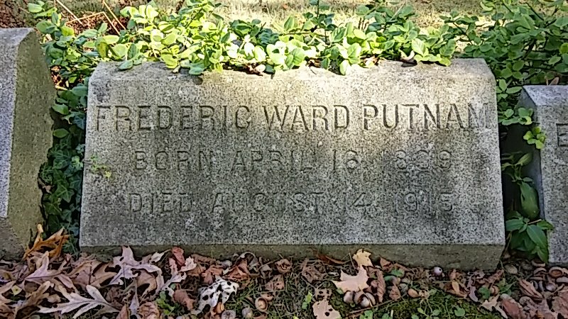 A photo of a short and wide tombstone close to the ground covered in leaves