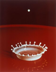 a closeup photograph of a white droplet of liquid on a red background. 