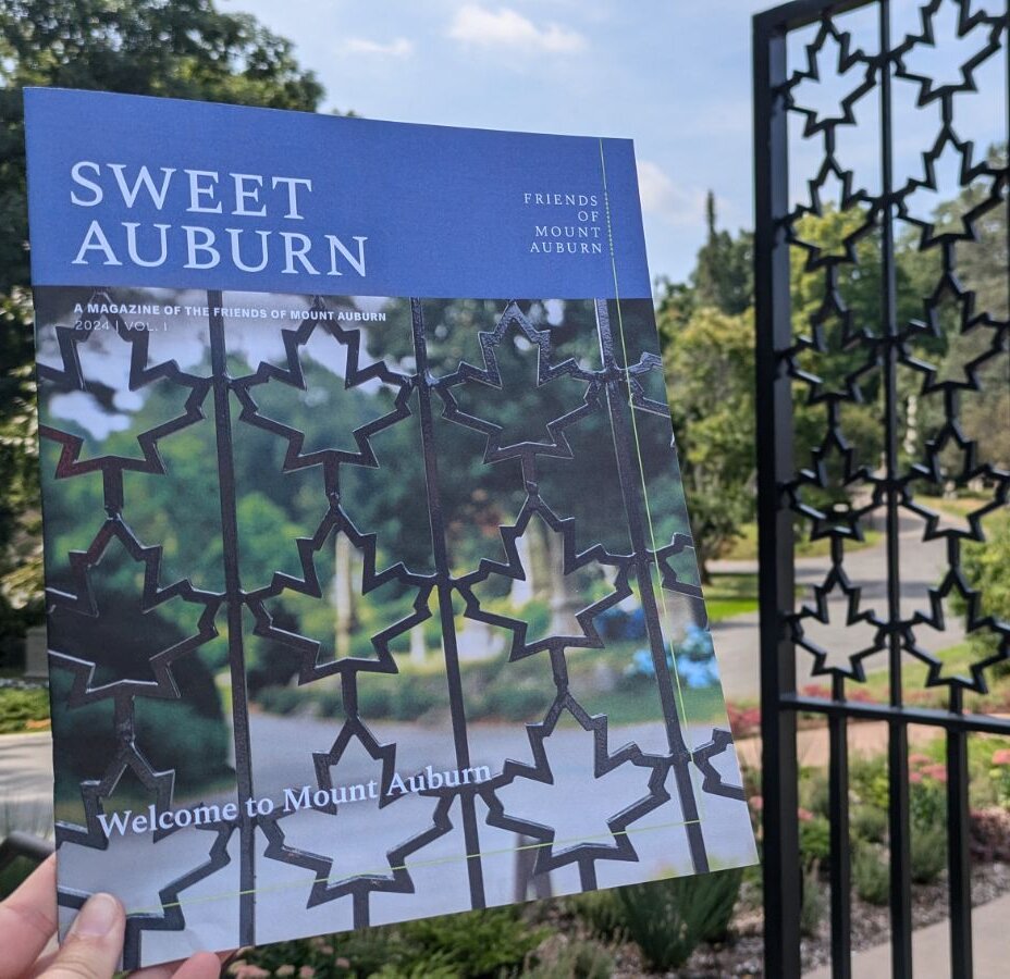 Sweet Auburn Magazine