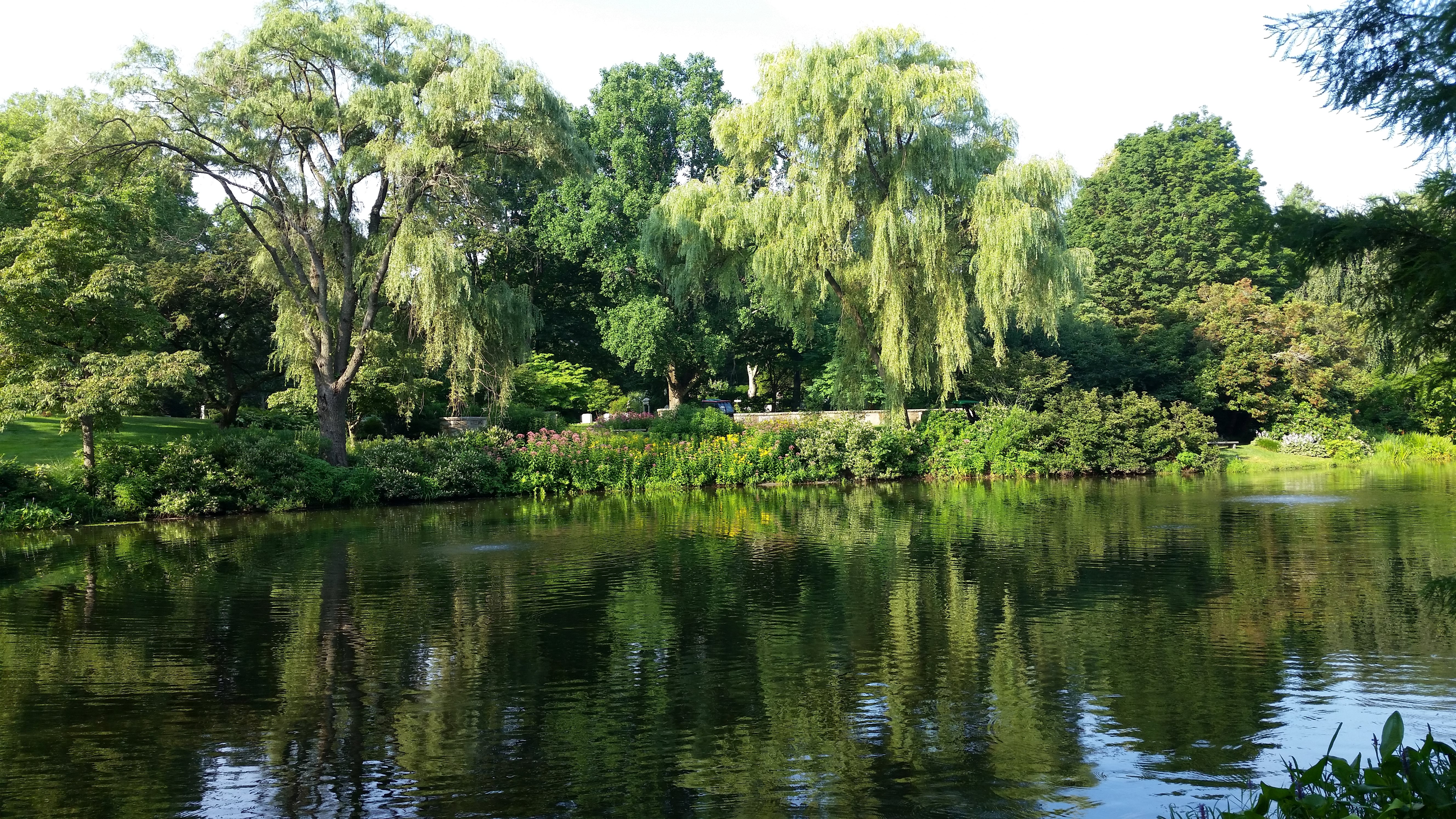 A.J. & M.D. Ruggiero Memorial Trust Awards Grant for Auburn Lake and Willow Pond Restoration