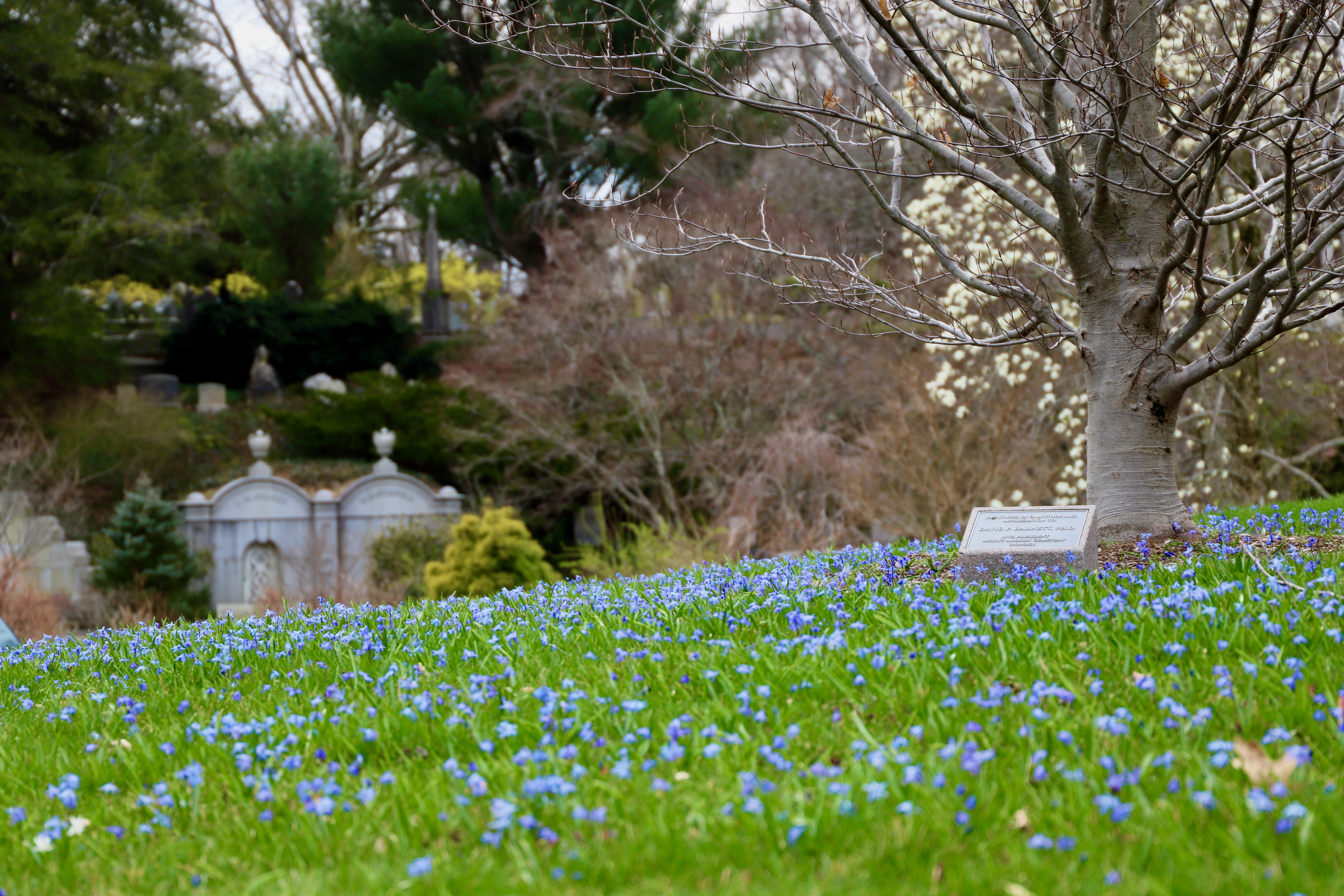 Horticultural Highlights