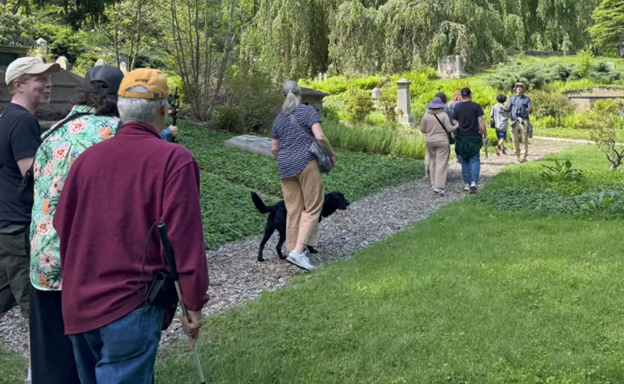 For blind and low-vision nature lovers, birding is 'by ear'
