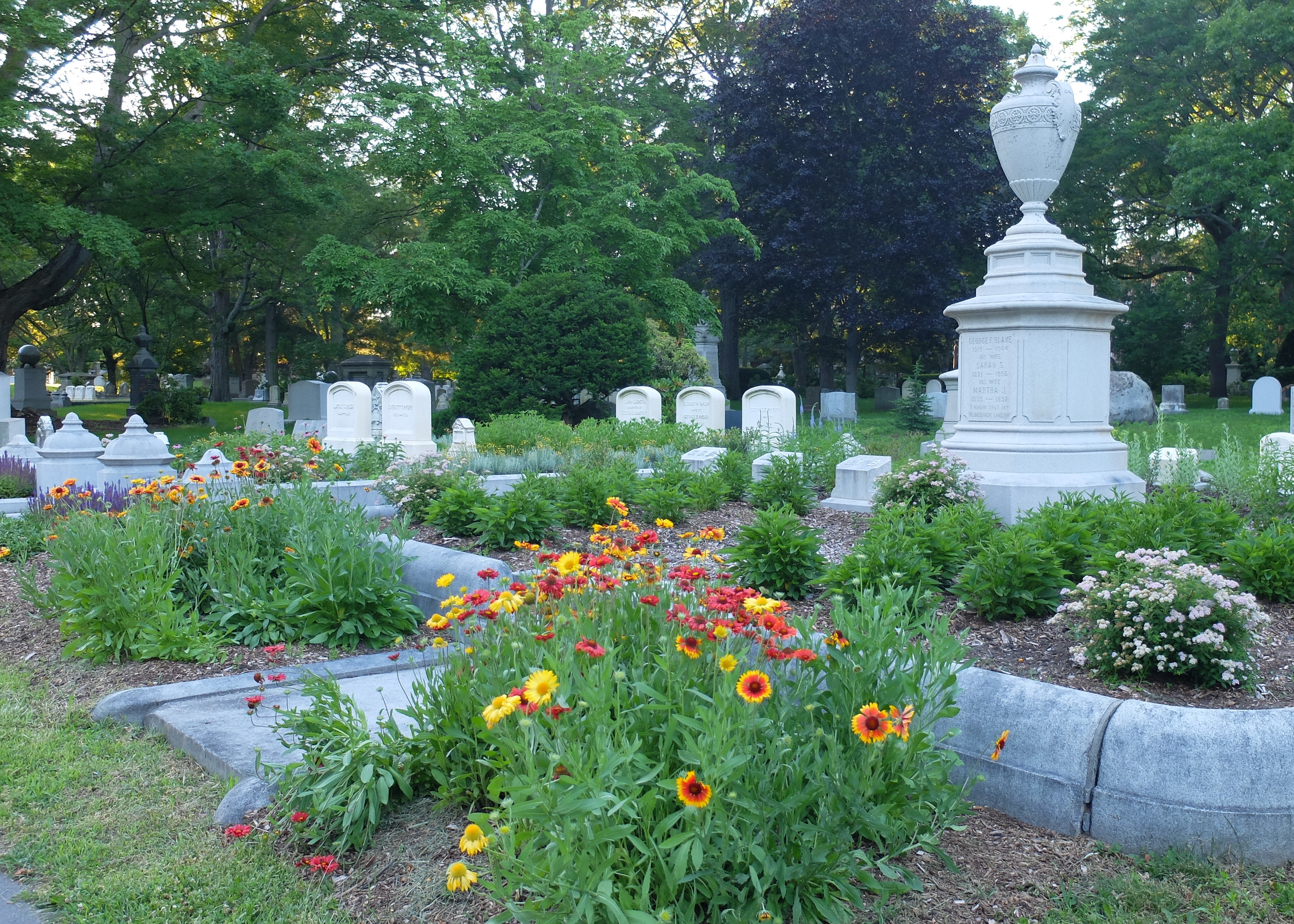 Flora Mount Auburn