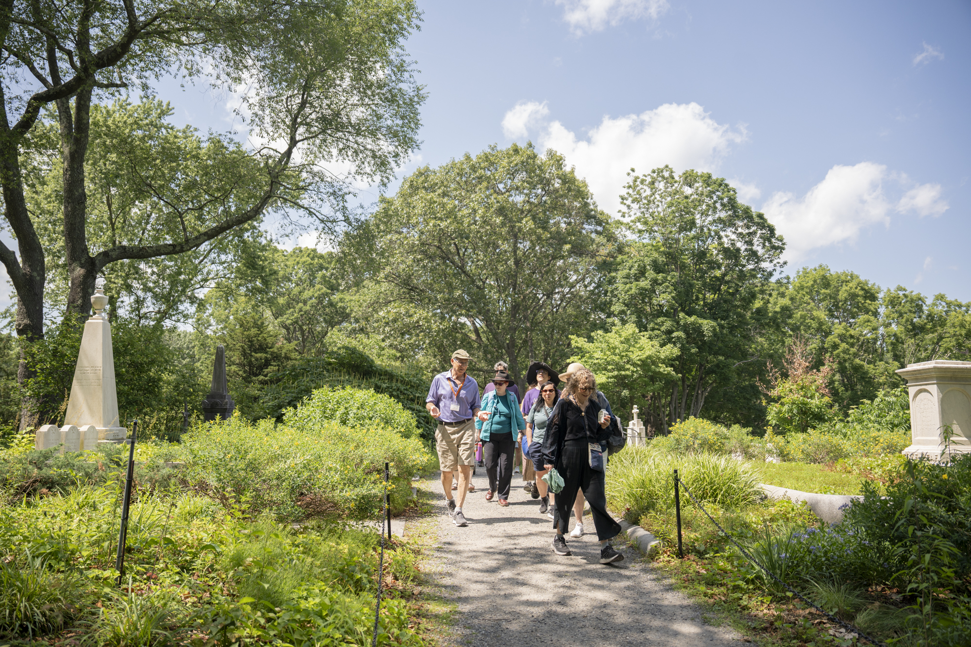 Image for Members Week 2025