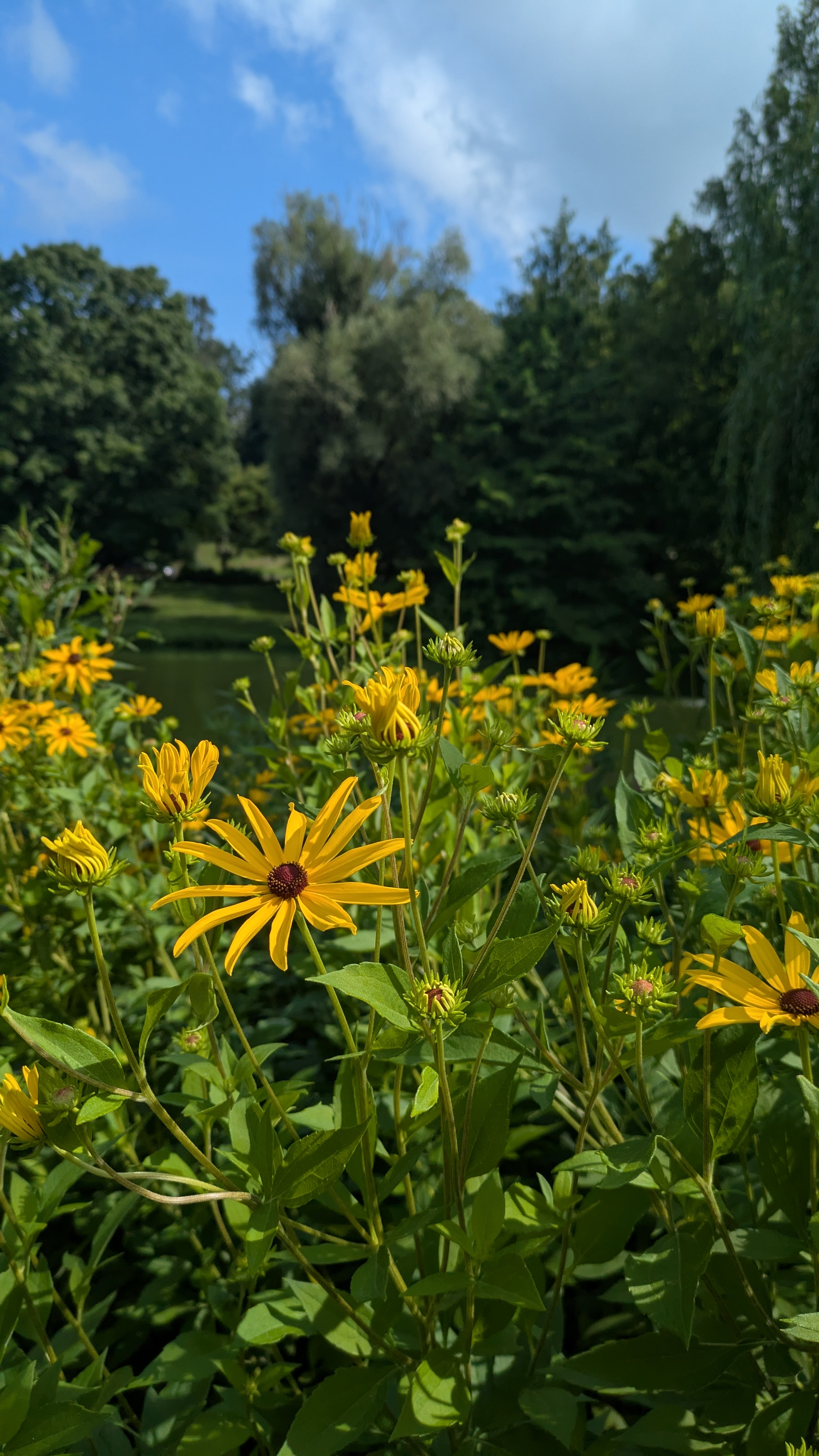 What's in Bloom