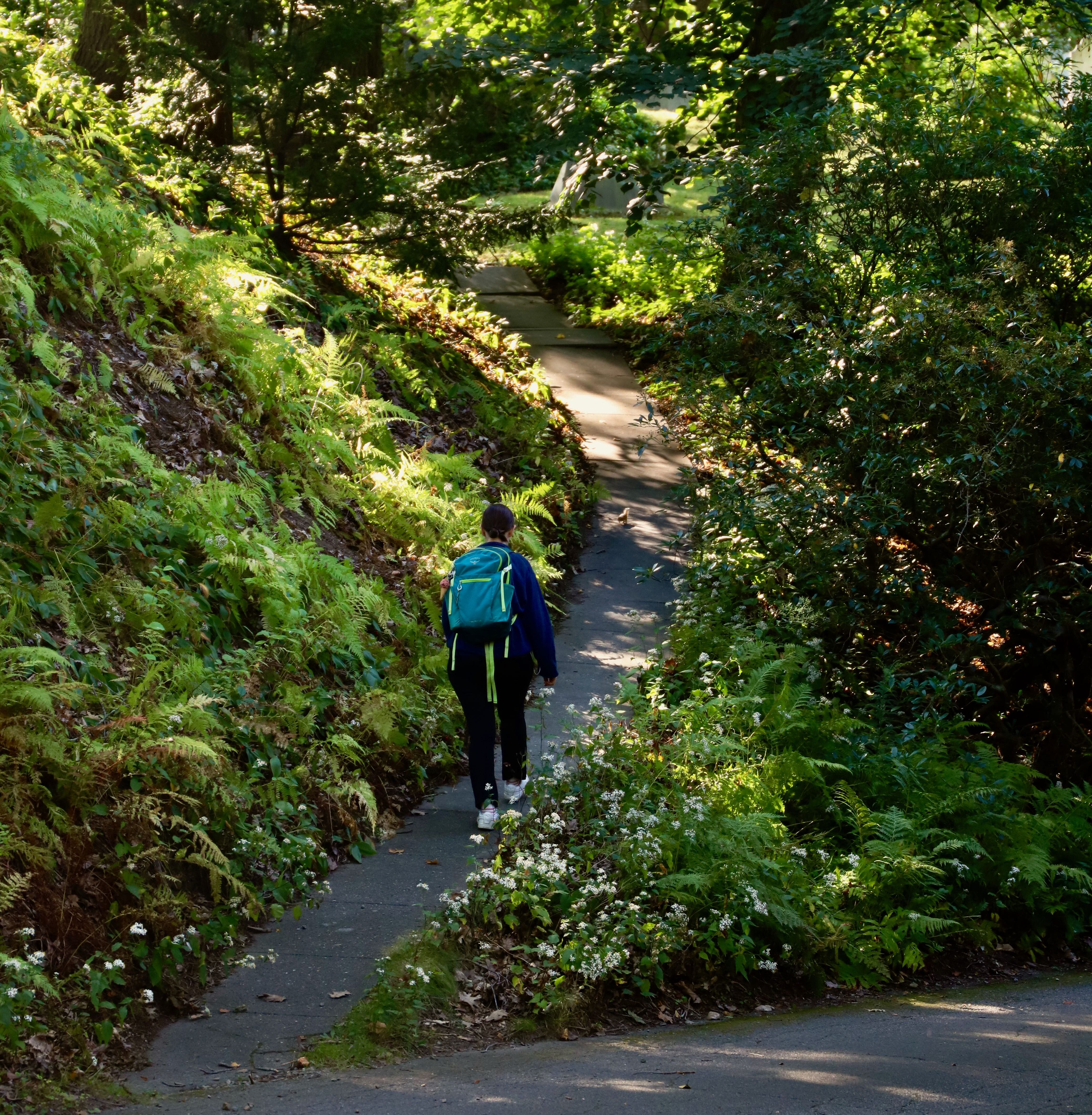 Why cemeteries are becoming places for the living