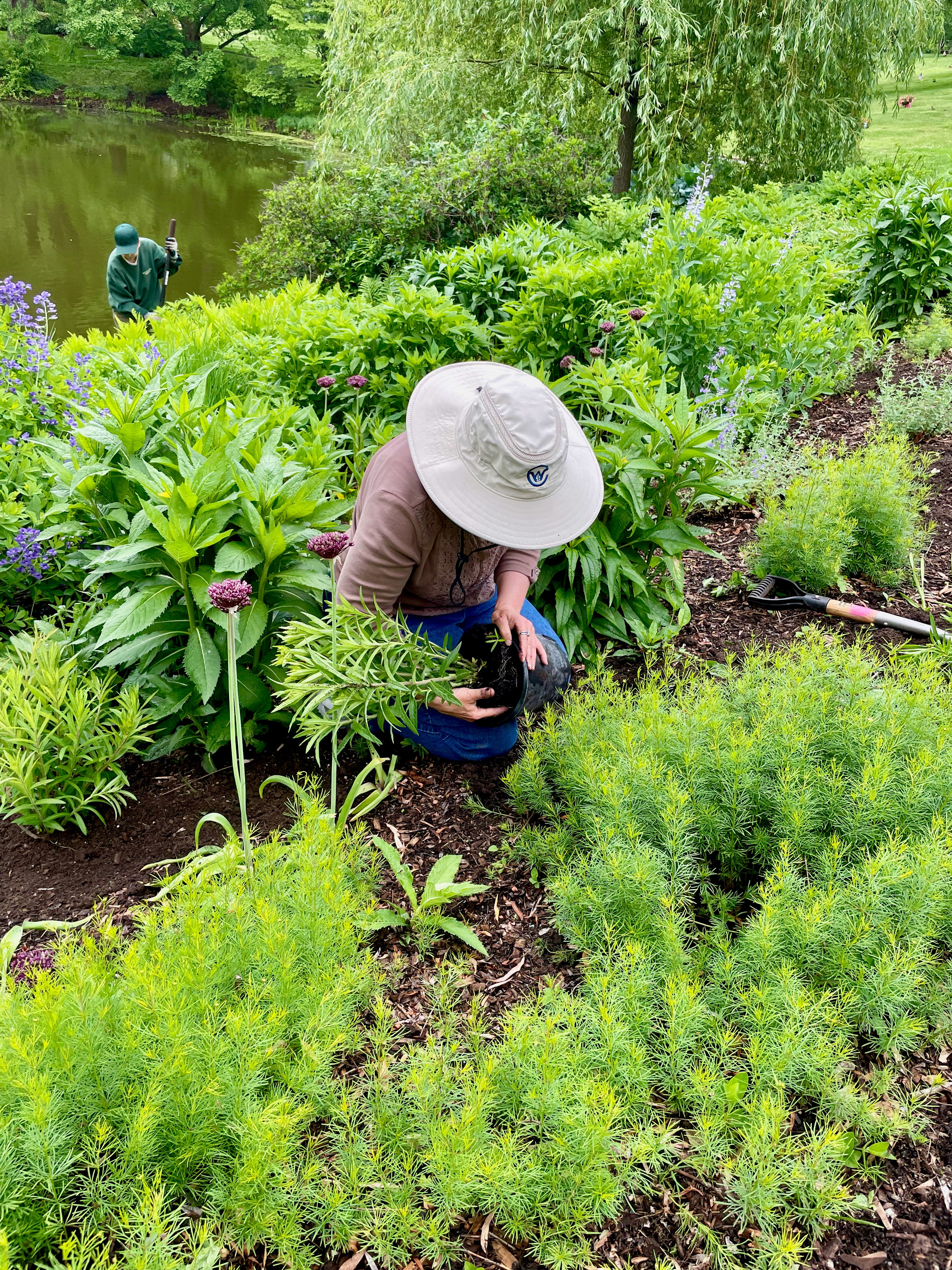 Willow Pond Habitat Restoration