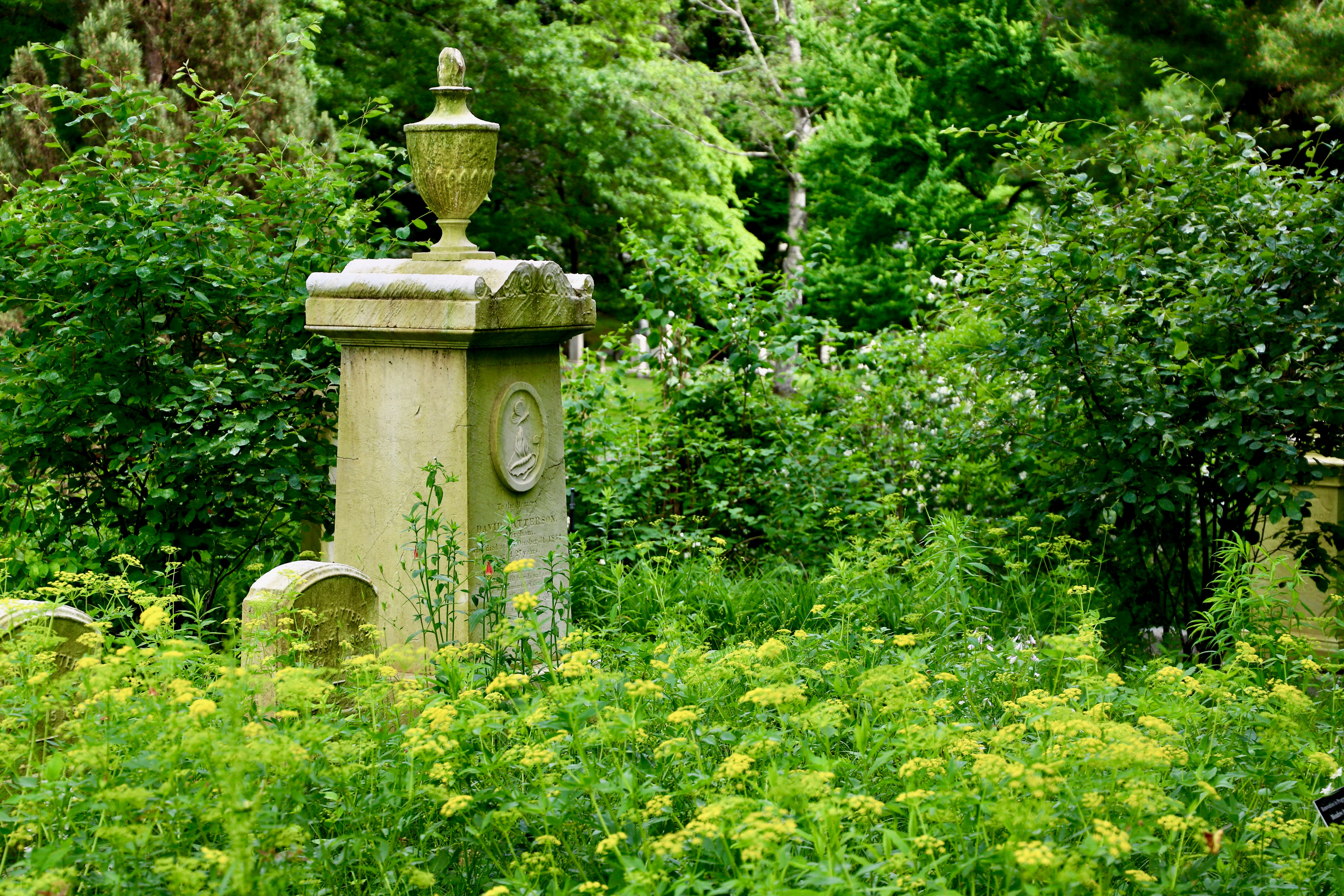 Cemeteries: How the Dead Protect the Wild