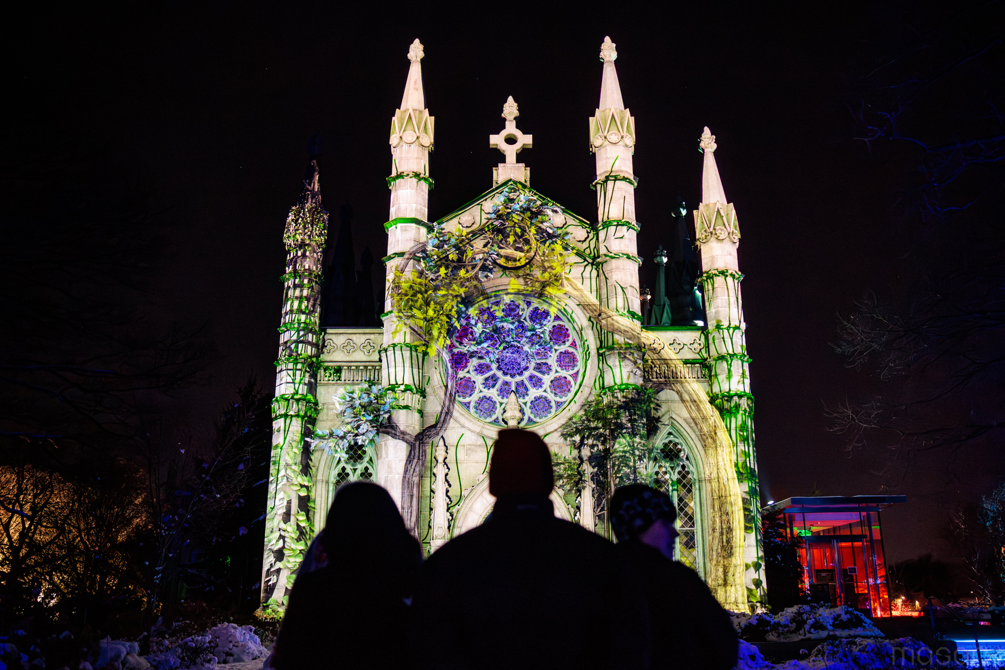 Trees take center stage in Mount Auburn's 'Solstice' spectable