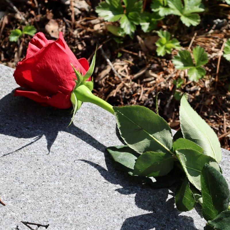 Clean Sweep Starts November 17th