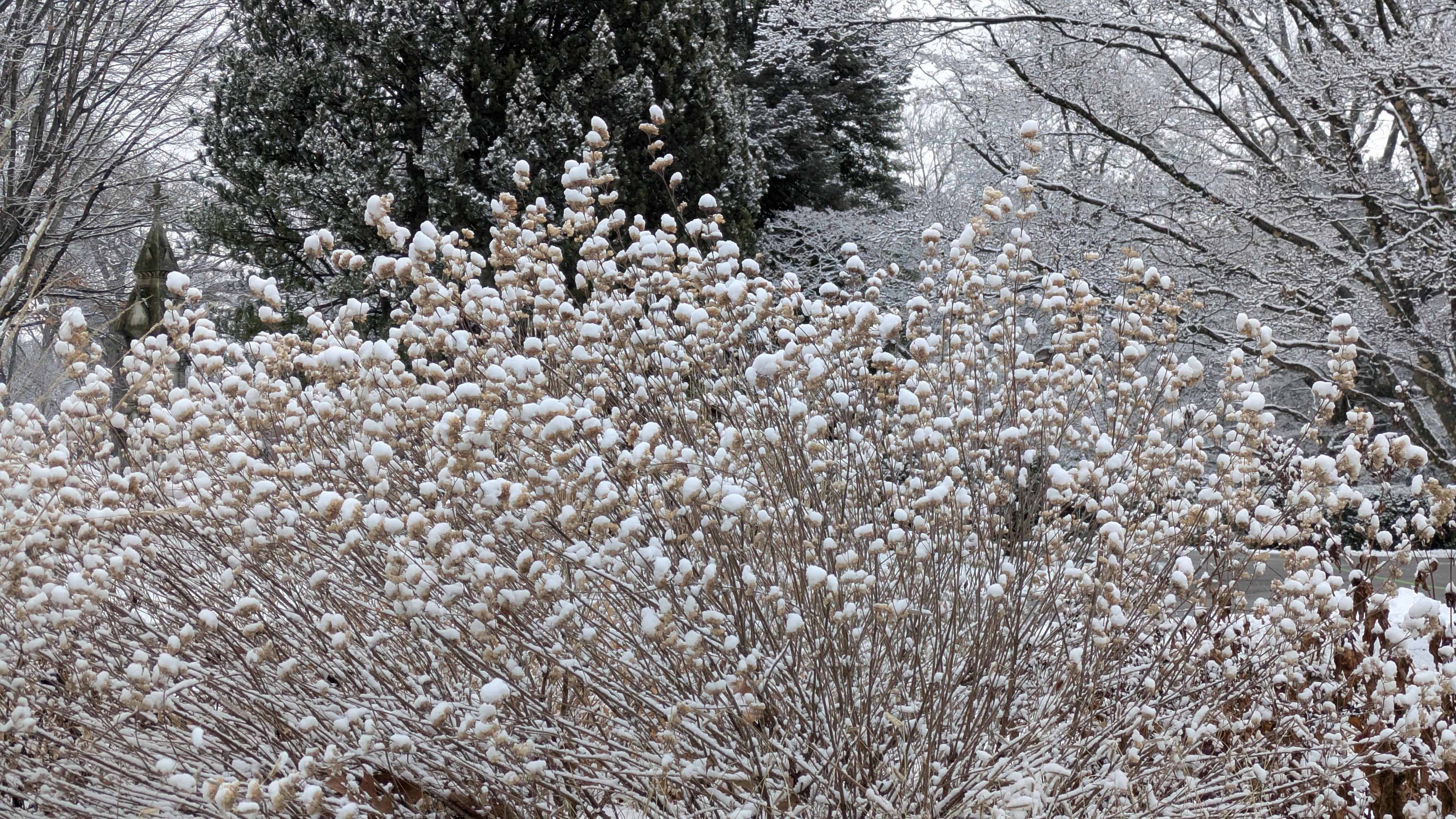 Clean Sweep Postponed