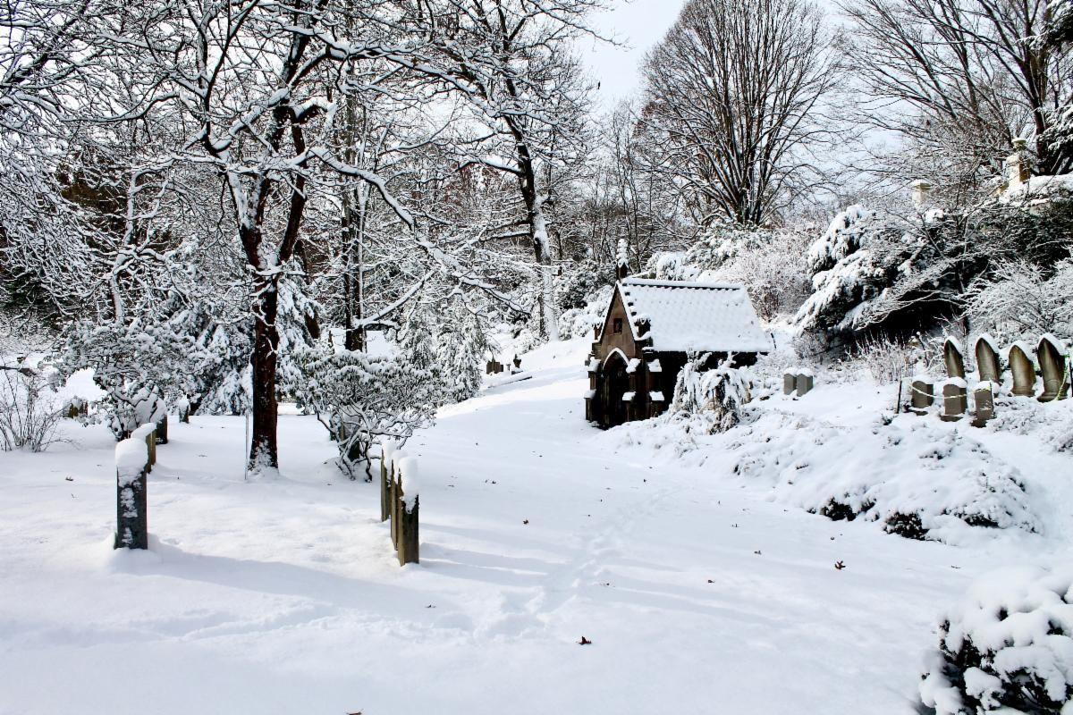 How the Gardens & Landscapes Team Prepares