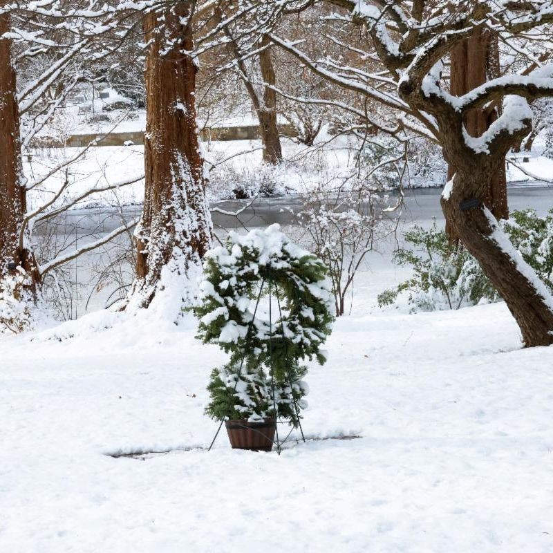 How the Greenhouse Prepares