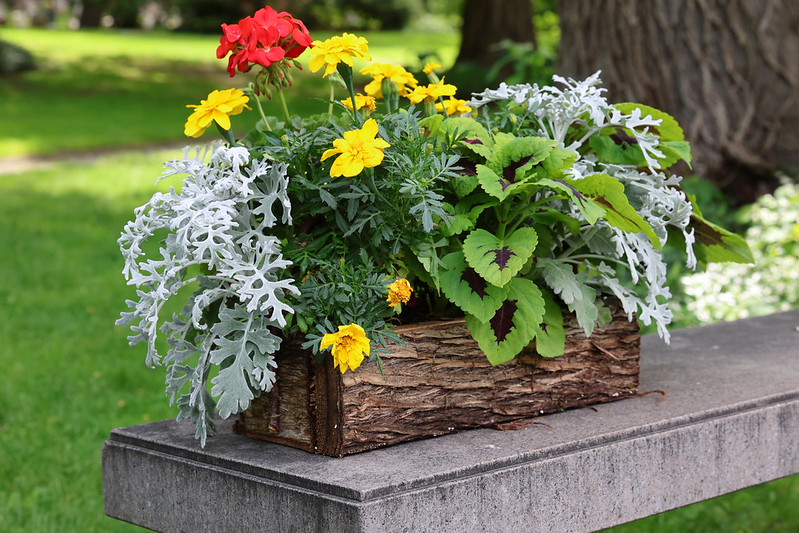 Tribute Store Is Open