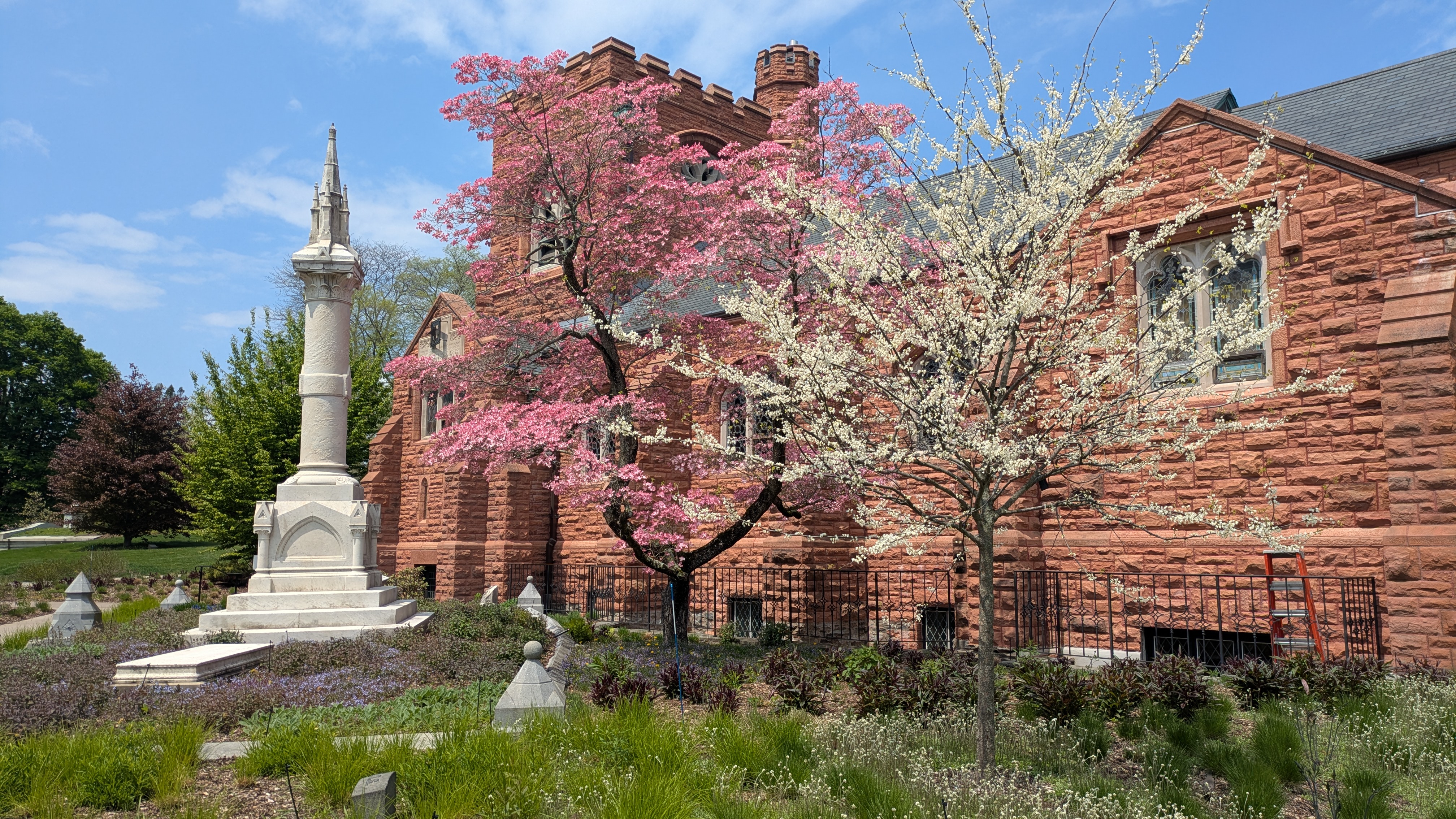 Image for What’s In Bloom 2026