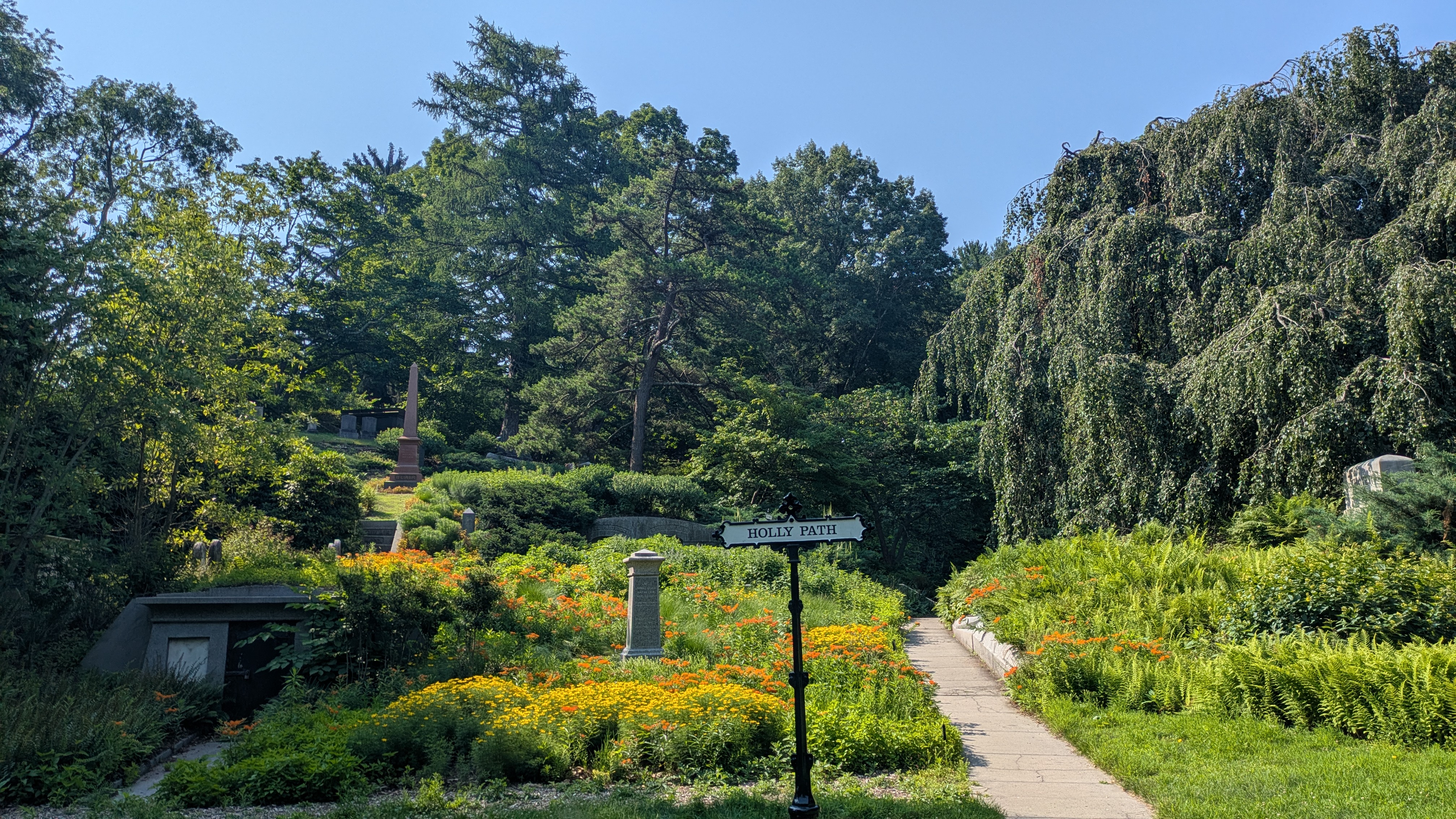 Image for What’s In Bloom 2026