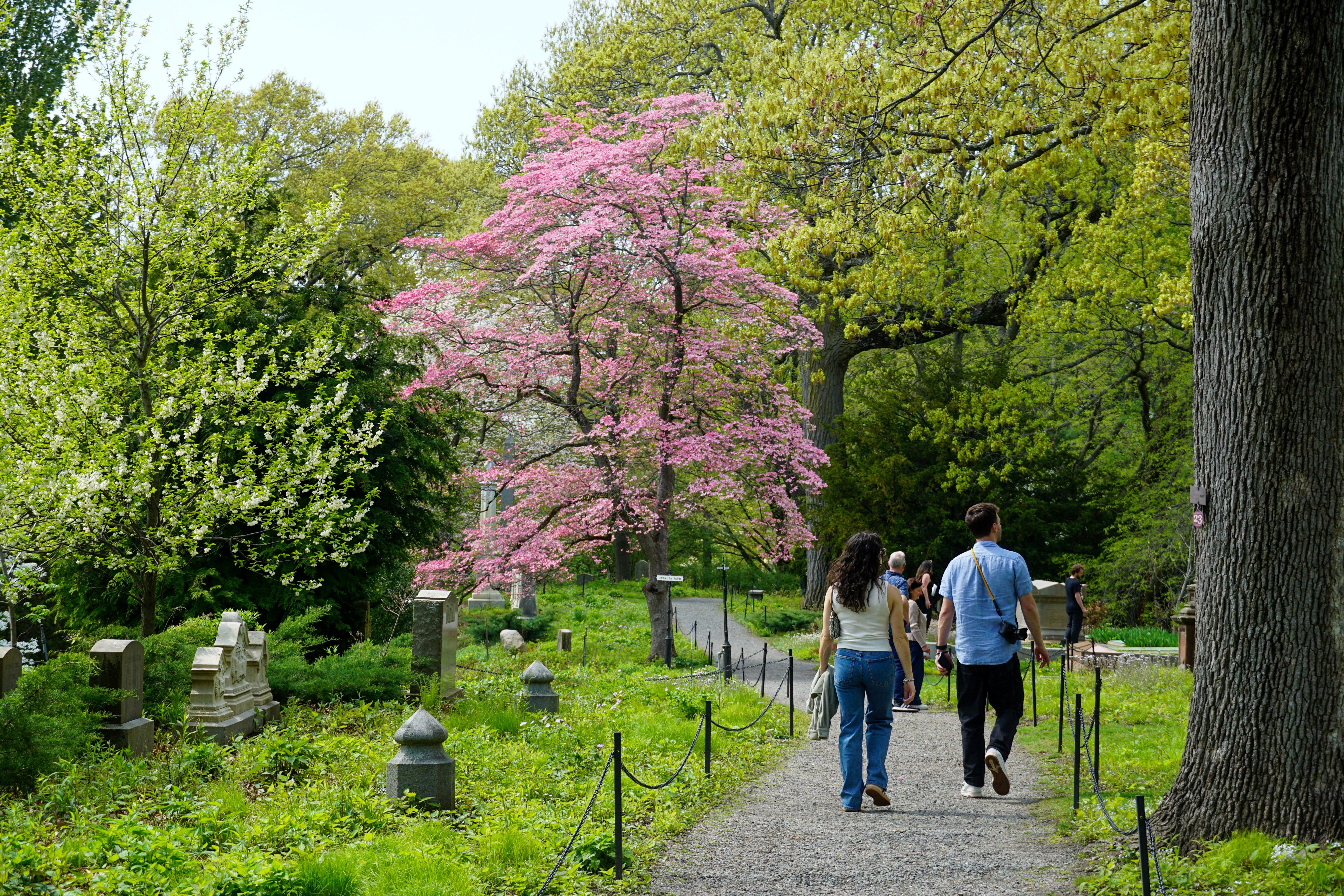 Leave a Lasting Legacy with FreeWill