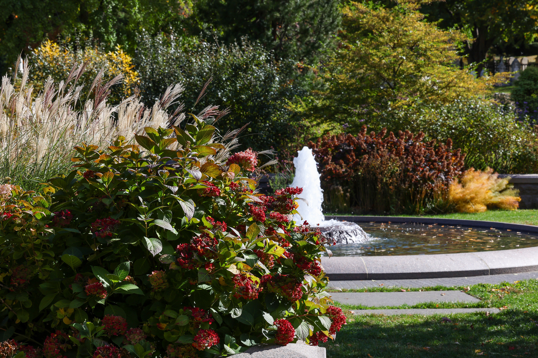 Horticultural Highlights