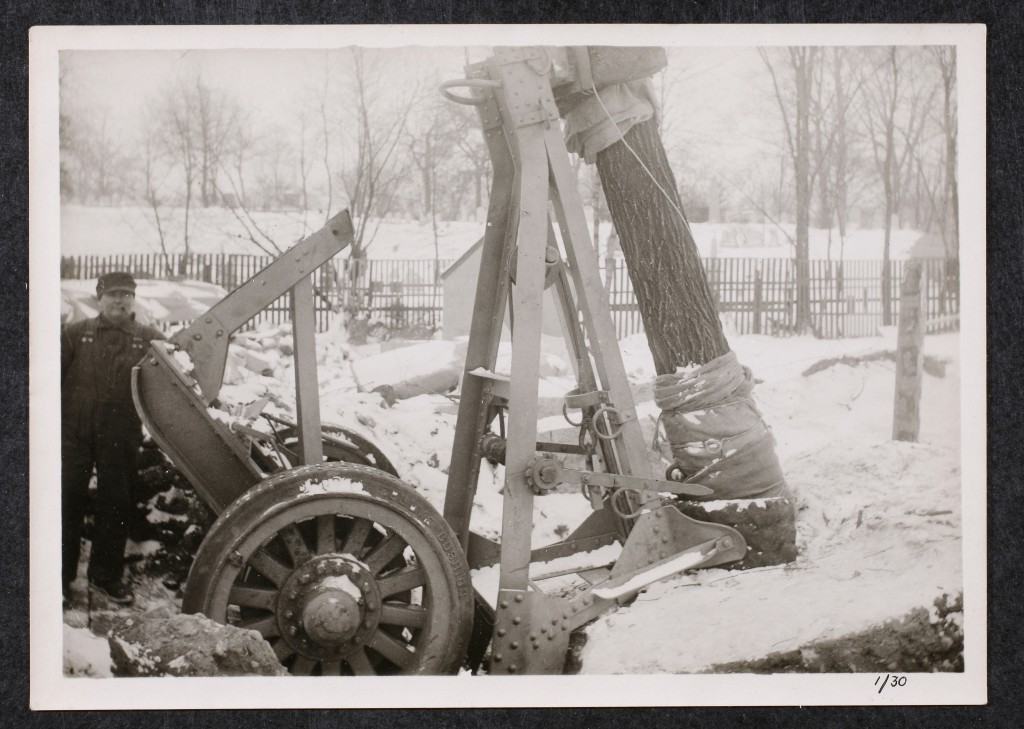 Winter tree work, 1931