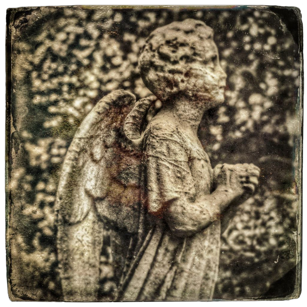 Profile of carved stone angel as a child with hands clasped looking up, in sepia tones