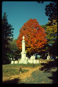 Acer saccharum and monument
