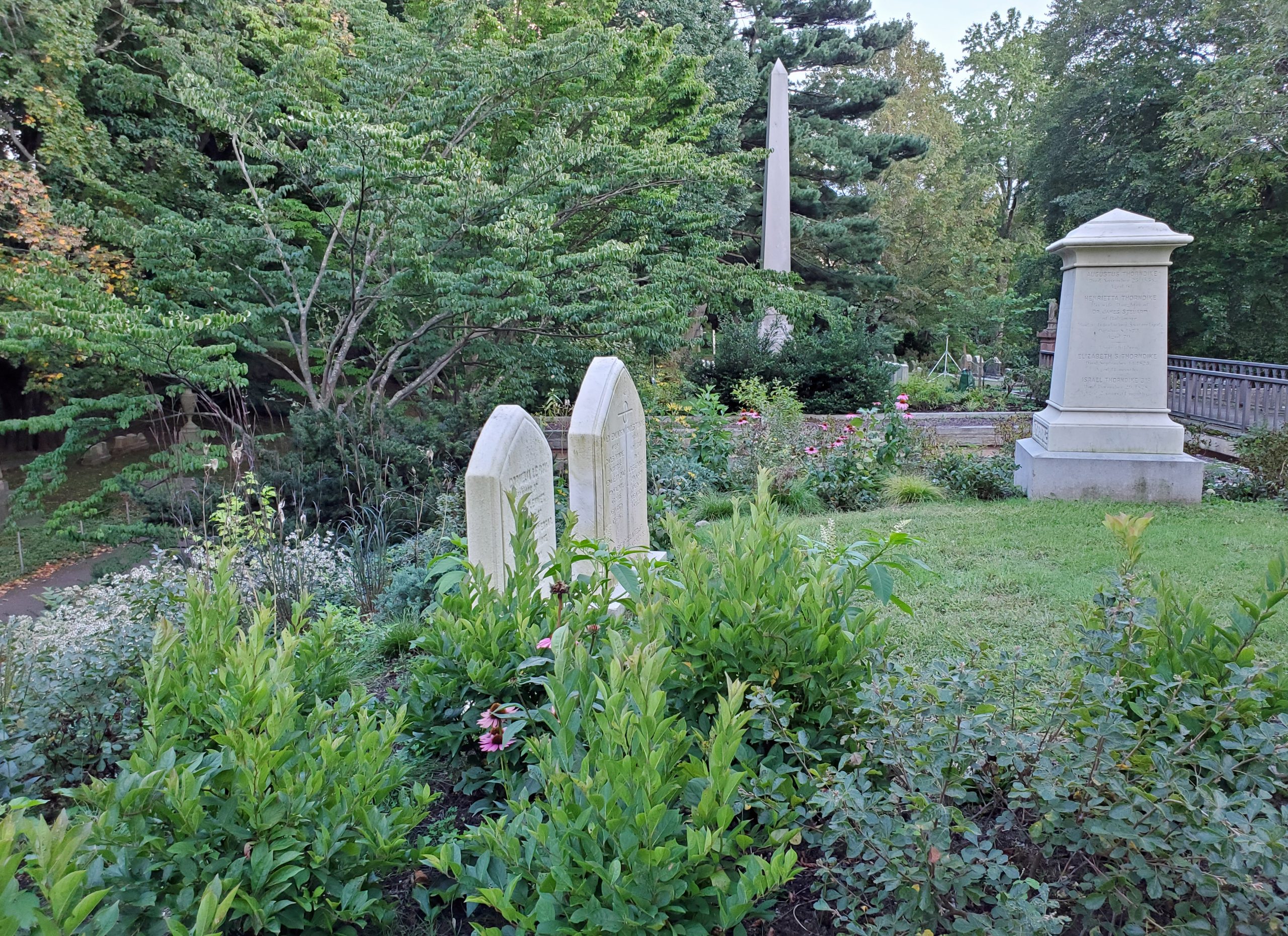 Plants around cemetery monuments