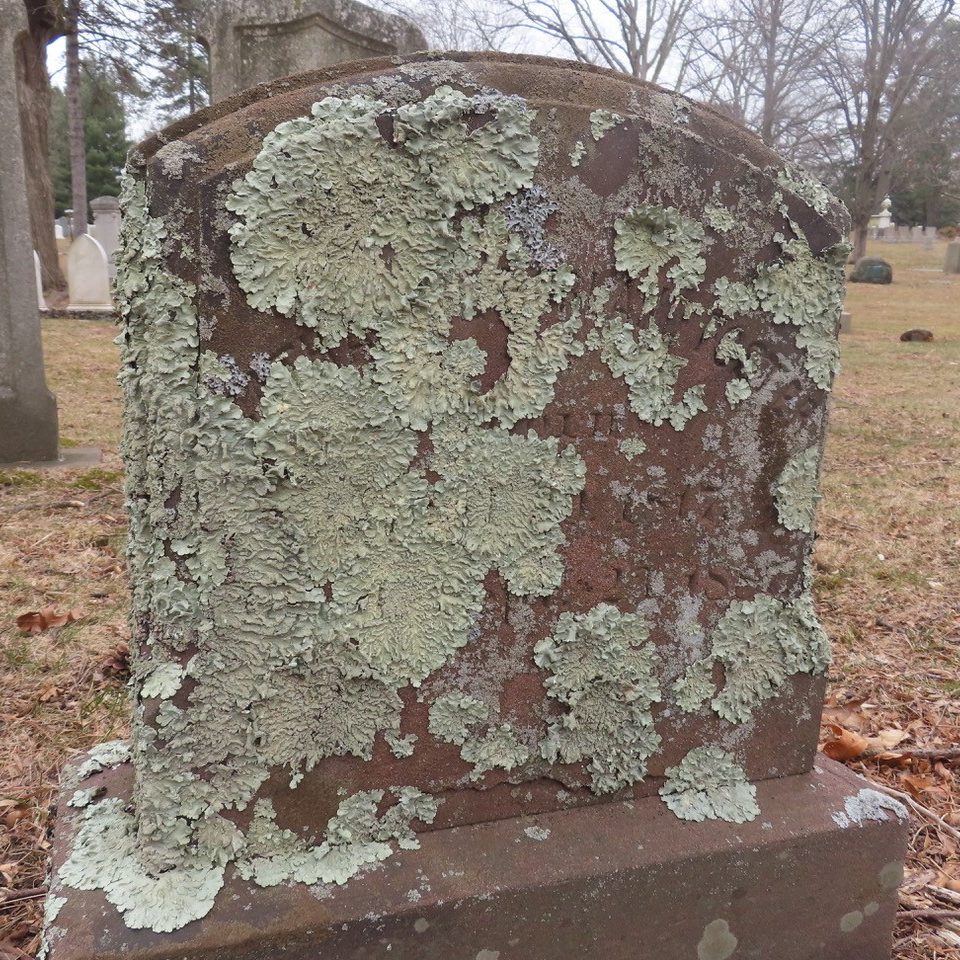 brownstone monument covered in lichen
