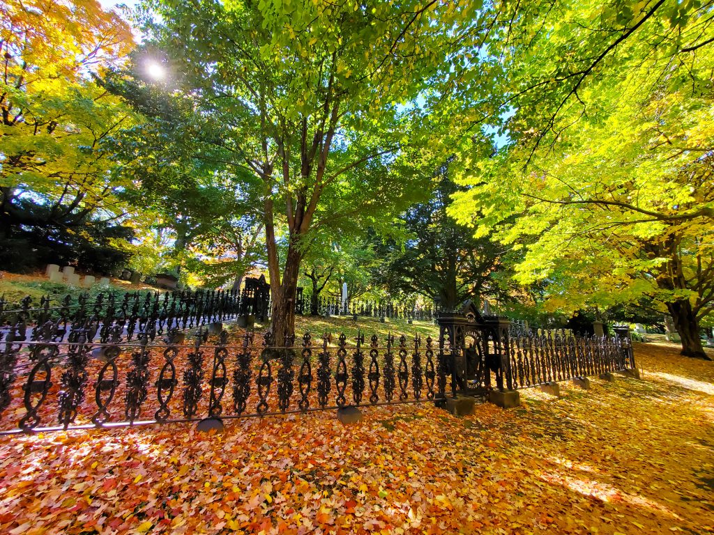 Fence surrounded by fallen autumn leaves