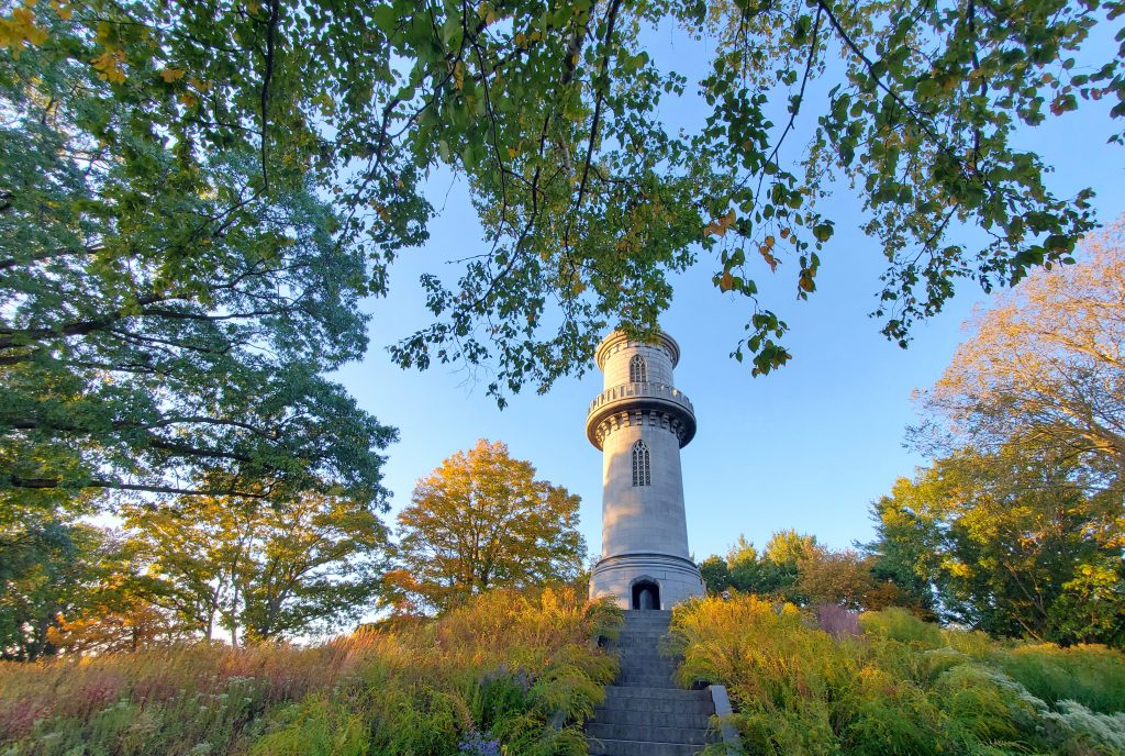 Image of Washington Tower, the Cemetery's observation tower.  Wildflowers surround the Tower against a blue sky. 