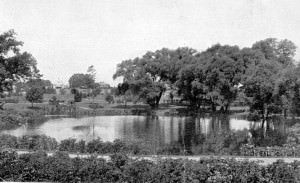 Construction of Willow Pond, c. 1935, gelatin silver print.